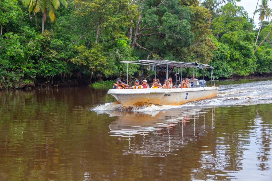 Du Lịch Malaysia (Tết Âm Lịch 2026): Kota Kinabalu - Kundasang - Đảo Sapi - Công Viên Quốc Gia Kinabalu - Ngắm Khỉ Vòi & Đom Đóm