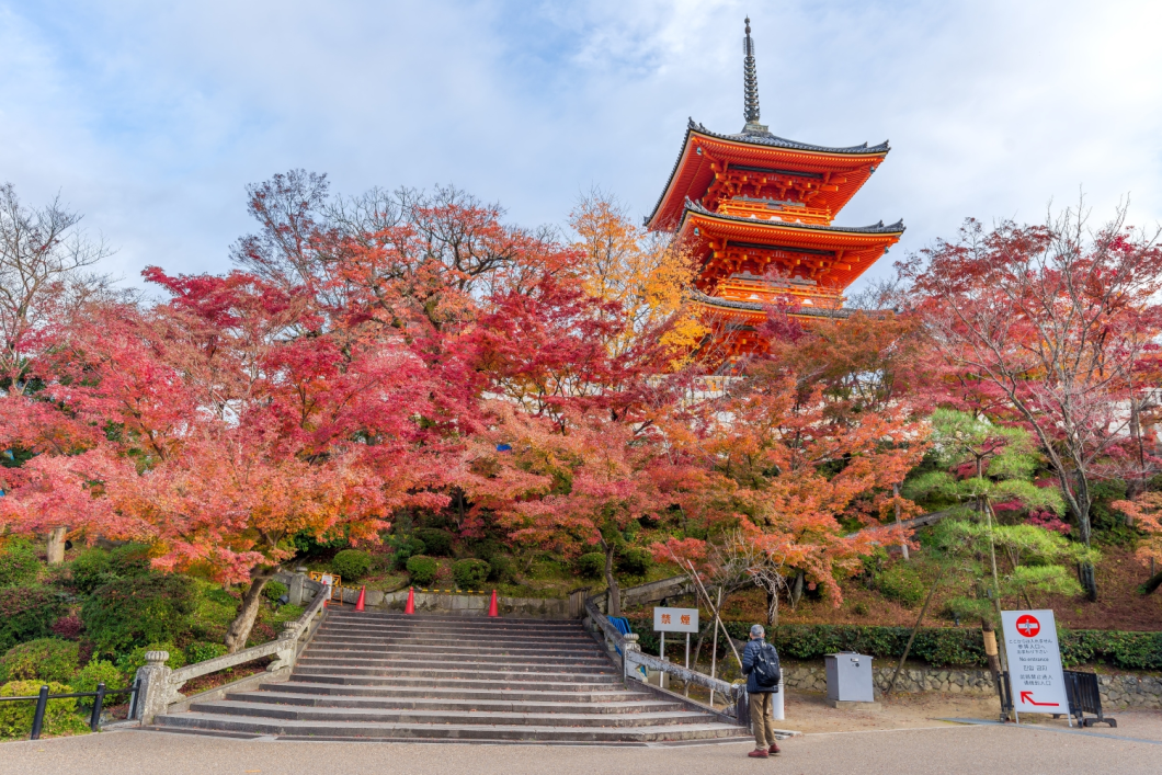 Du Lịch Nhật Bản (Mùa Lá Đỏ): Osaka - Kyoto - Nara - Kobe