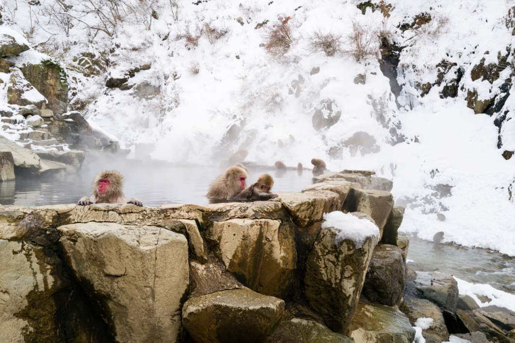 Du Lịch Nhật Bản: Tokyo - Phú Sĩ - Nagano - Matsumoto - Công Viên Khỉ Tuyết Jigokudani - Khu Trượt Tuyết Shiga Jogen