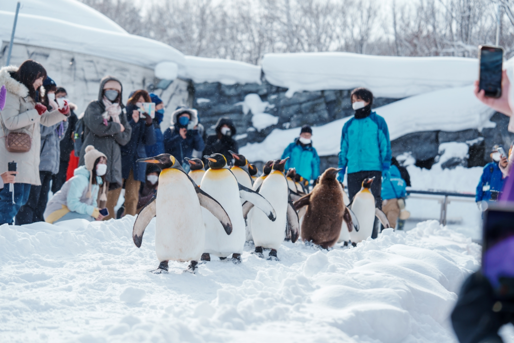 Du Lịch Nhật Bản: Hokkaido - Sapporo - Trải Nghiệm Tàu Phá Băng - Asahikawa - Kamikawa - Monbetsu - Furano - Otaru