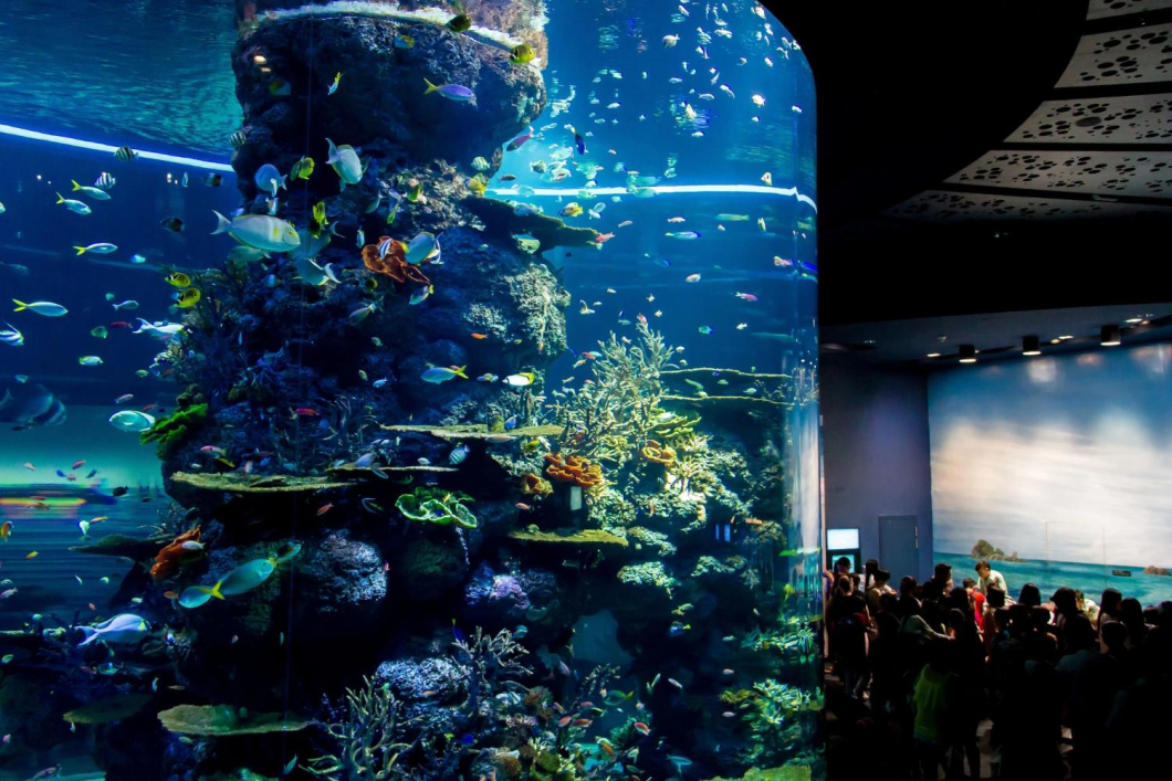 Du Lịch Singapore (Tết Âm Lịch 2026): Vườn Thú Nhiệt Đới & Thú Nước River Wonders - Trình Diễn Ánh Sáng Siêu Cây