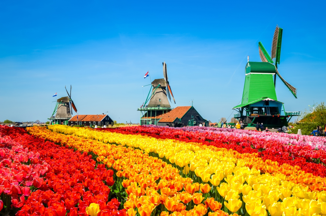 Du Lịch Châu Âu (Mùa Xuân): Đức - Hà Lan - Bỉ - Luxembourg - Pháp - Lễ Hội Hoa Tulip