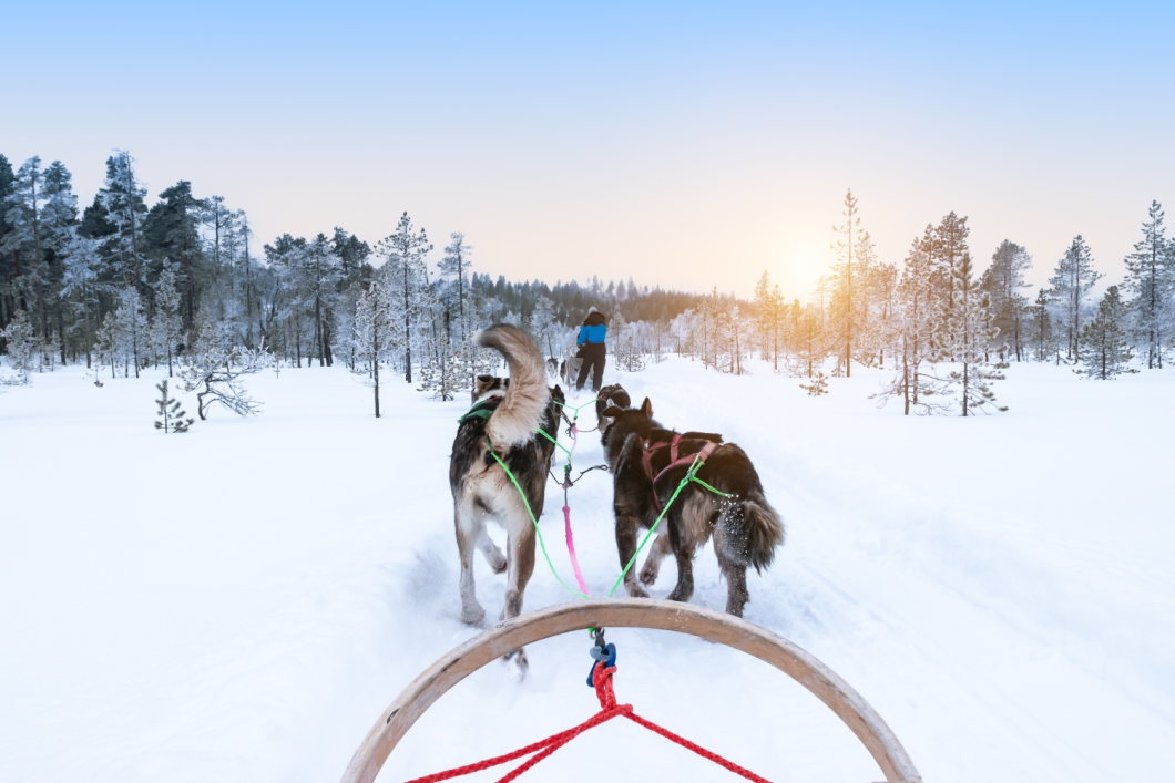 Du Lịch Bắc Âu: Săn Bắc Cực Quang - Trải Nghiệm Tàu Phá Băng (Helsinki - Rovaniemi - Saariselka)