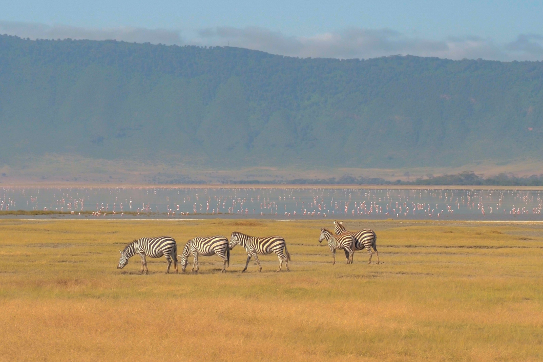 Du Lịch Đông Phi: Kenya - Tanzania - Mùa Đại Di Trú - Khoảnh Khắc Lịch Sử