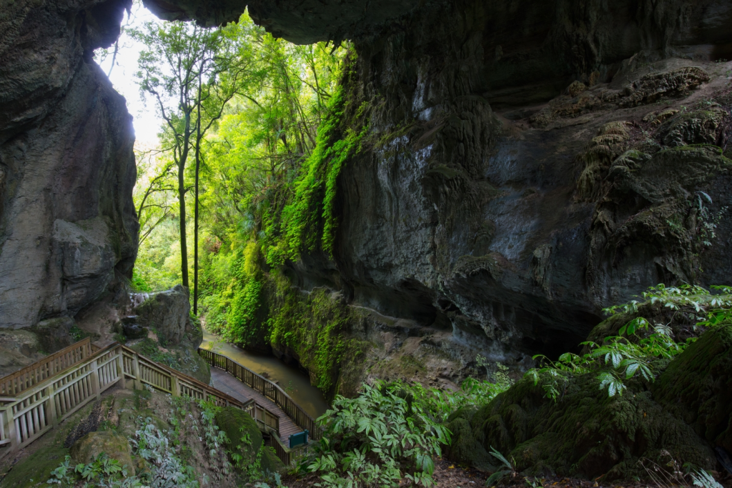 Du Lịch New Zealand: Khám Phá Bắc Đảo - Auckland – Waitomo Cave – Taupo - Rotorua – Hobbiton – Hamilton