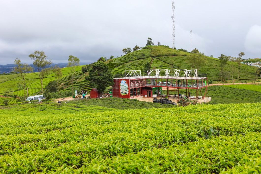 Du Lịch Đà Lạt: Thác Đamb’ri - Nông Trại Cún Puppy Farm - Đồi Chè Cầu Đất - Làng Hoa Vạn Thành