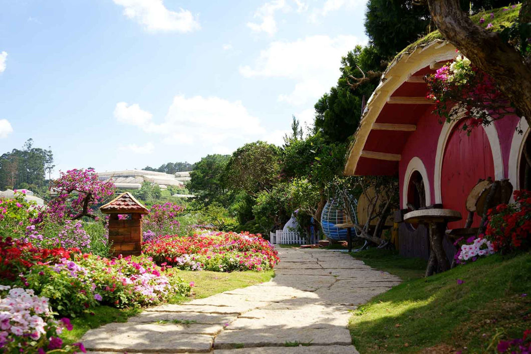 Du Lịch Đà Lạt: Quê Garden - Đồi Chè Cầu Đất - Mongo Land