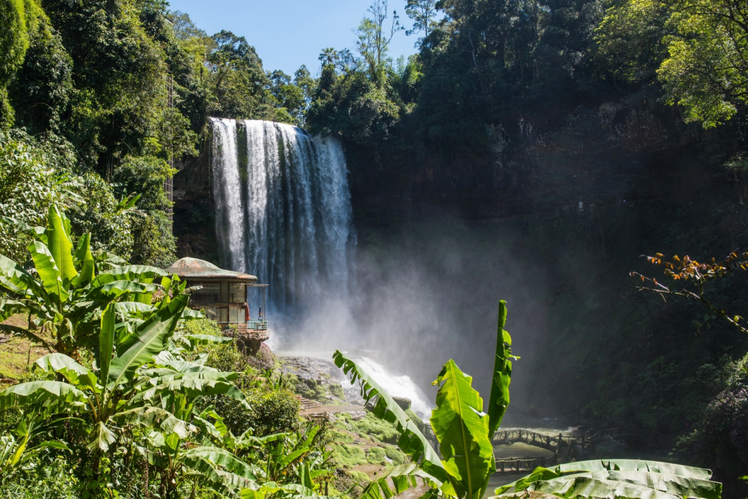 Du Lịch Đà Lạt: Thác Đamb’ri - Nông Trại Cún Puppy Farm - Đồi Chè Cầu Đất - Làng Hoa Vạn Thành