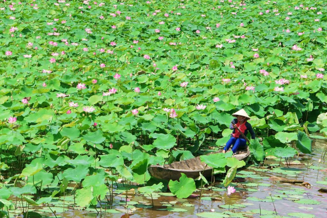 Du Lịch Miền Tây: Đồng Tháp - An Giang - Cần Thơ