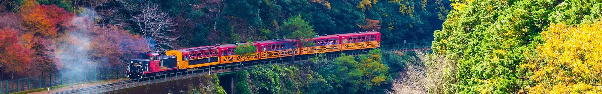 Du Lịch Nhật Bản (Mùa Hoa Anh Đào): Tokyo - Phú Sĩ - Hamamatsu - Toyohashi  Kyoto - Osaka