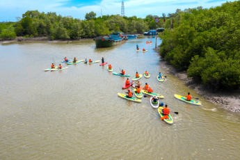 Tour Chèo Thuyền Sup Xuyên Rừng Ngập Mặn Cần Giờ