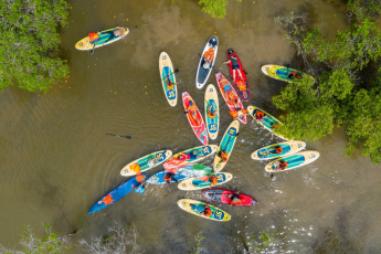 Tour Chèo Thuyền Sup Xuyên Rừng Ngập Mặn Cần Giờ