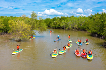 Tour Chèo Thuyền Sup Xuyên Rừng Ngập Mặn Cần Giờ