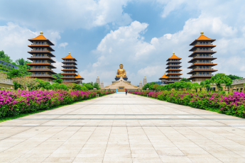 Du Lịch Đài Loan: Cao Hùng – Đài Trung – Đài Bắc – Ngắm Hoa Anh Đào Rừng Quốc Gia Alishan