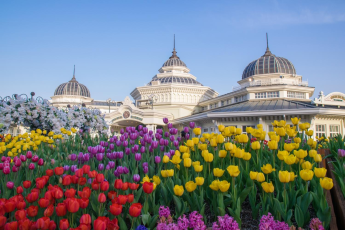 Du Lịch Hàn Quốc:  Seoul - Nami - Everland - Tháp Namsan