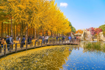 Du Lịch Hàn Quốc (Mùa Thu): Seoul - Nami - Everland - Hero Show - Thư Viện Starfield