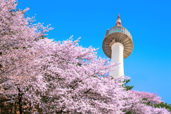 Du Lịch Hàn Quốc:  Seoul - Nami - Everland - Tháp Namsan