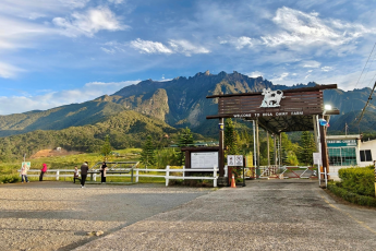 Du Lịch Malaysia (Tết Âm Lịch 2026): Kota Kinabalu - Kundasang - Đảo Sapi - Công Viên Quốc Gia Kinabalu - Ngắm Khỉ Vòi & Đom Đóm