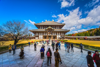 Du Lịch Nhật Bản (Mùa Lá Đỏ): Osaka - Kyoto - Nara - Kobe