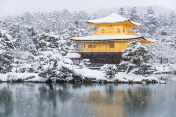 Du Lịch Nhật Bản (Tết Âm Lịch 2027): Kobe - Osaka - Kyoto - Nagoya - Phú Sĩ - Tokyo - Narita