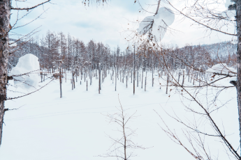 Du Lịch Nhật Bản: Hokkaido - Sapporo - Trải Nghiệm Tàu Phá Băng - Asahikawa - Kamikawa - Monbetsu - Furano - Otaru