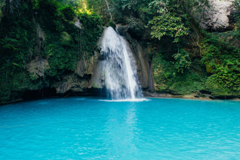 Du Lịch Philippines: Cebu - Nalusuan - Oslob - Bơi Cùng Đàn Cá Mồi Ở Moalboal - Cá Mập Voi Oslob