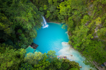 Du Lịch Philippines: Cebu - Nalusuan - Oslob - Bơi Cùng Đàn Cá Mồi Ở Moalboal - Cá Mập Voi Oslob