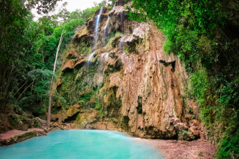 Du Lịch Philippines: Cebu - Mactan - Ngắm Cá Mập Voi Ở Oslob