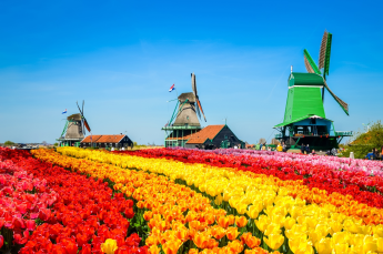 Du Lịch Châu Âu (Mùa Xuân): Đức - Hà Lan - Bỉ - Luxembourg - Pháp - Lễ Hội Hoa Tulip