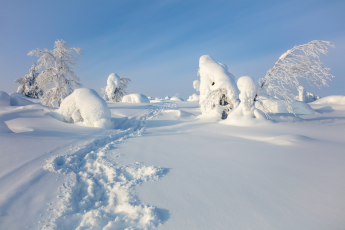 Du Lịch Bắc Âu: Săn Bắc Cực Quang - Trải Nghiệm Tàu Phá Băng (Helsinki - Rovaniemi - Saariselka)