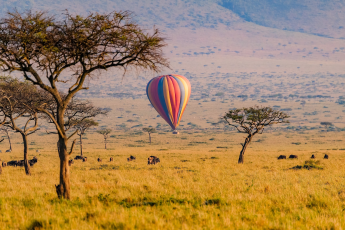 Du Lịch Đông Phi: Kenya - Tanzania - Mùa Đại Di Trú - Khoảnh Khắc Lịch Sử
