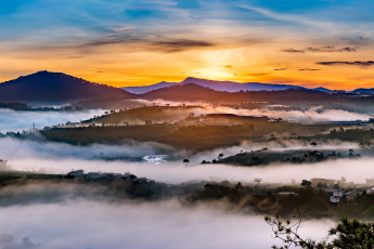 Du Lịch Đà Lạt: Thác Đamb’ri - Nông Trại Cún Puppy Farm - Đồi Chè Cầu Đất - Làng Hoa Vạn Thành