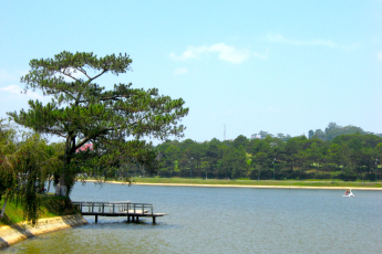 Du Lịch Đà Lạt: Quê Garden – Rừng Giao Hưởng – Nhà Thờ Domaine De Marie – Mongo Land