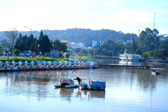 Du Lịch Đà Lạt: Thác Đamb’ri - Nông Trại Cún Puppy Farm - Đồi Chè Cầu Đất - Làng Hoa Vạn Thành