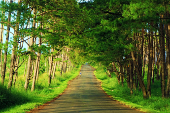 Du Lịch Tây Nguyên: Đắk Nông - Hồ Tà Đùng
