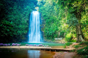 Du Lịch Tây Nguyên: Pleiku - Kon Tum - Măng Đen