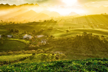Du Lịch Hà Nội - Mộc Châu - Lai Châu - Điện Biên - Sapa
