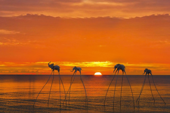 Du Lịch Phú Quốc: Sunset Sanato - Safari – Grand World