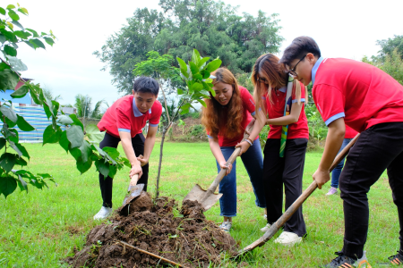 Công trình Thanh Niên “Góp mảng xanh, Xây tương lai”