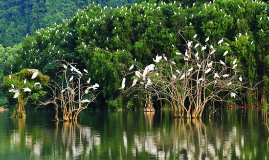 Du lịch Cà Mau check in ngay 4 điểm đến hấp dẫn vùng cực Nam Tổ quốc