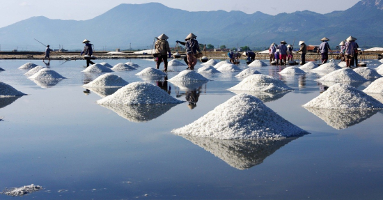 Khám phá 8 địa danh du lịch Quảng Ngãi đẹp hoang sơ khiến bạn "quên lối về"