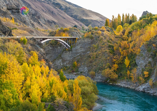 Du lịch New Zealand bạn có thể thưởng thức những món ăn đặc sắc nào?