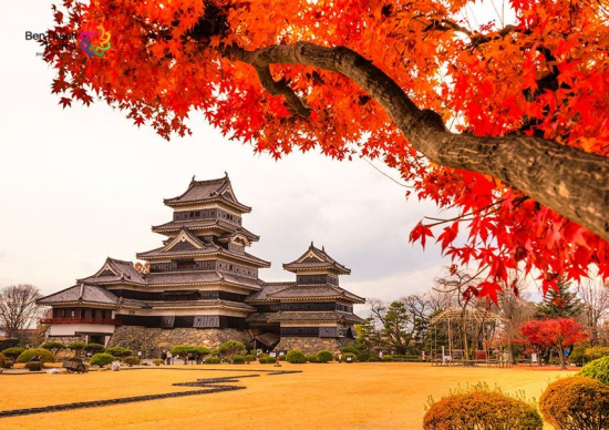 Dự báo lá đỏ mùa thu năm 2023