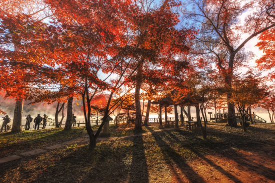 Du lịch Hàn Quốc mùa nào đẹp nhất?