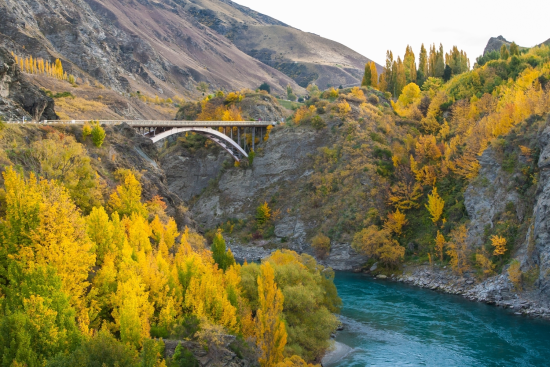 Khám phá mùa thu New Zealand