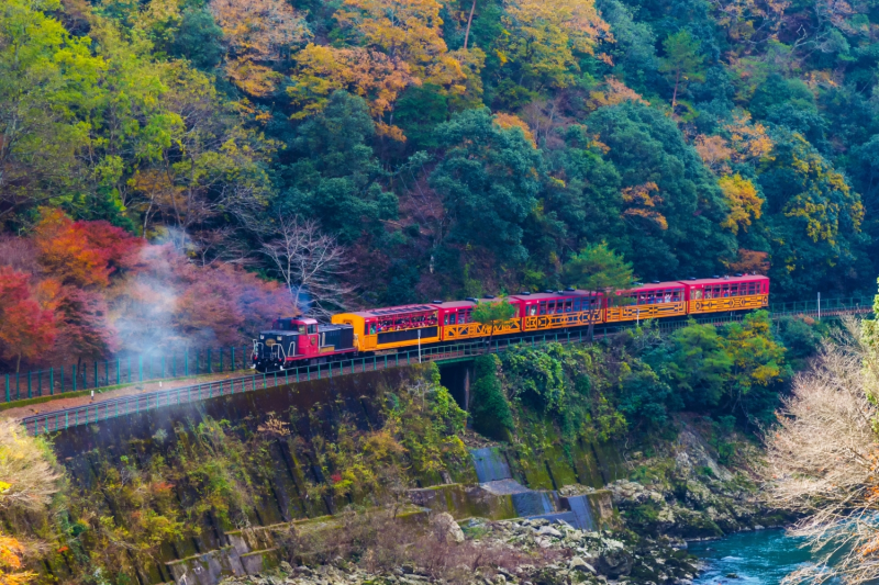 Du Lịch Nhật Bản (Mùa Thu): Osaka - Nara - Kyoto - Nagoya - Phú Sĩ - Tokyo - Narita