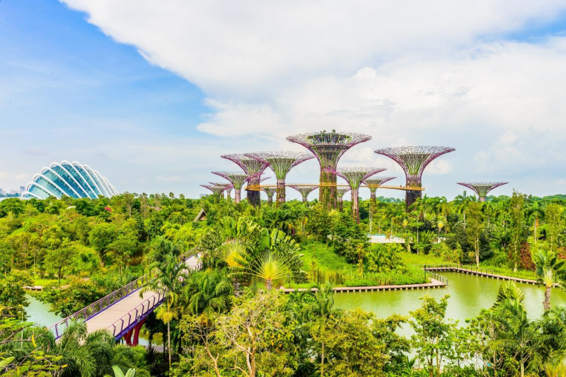 Du Lịch Malaysia - Singapore (Tết Âm Lịch 2026): Vườn Hoa Floral Fantasy - Trang Phục Nyonya & Batik - Tặng Vé Du Thuyền Sông Melaka - Khách Sạn 4 Sao