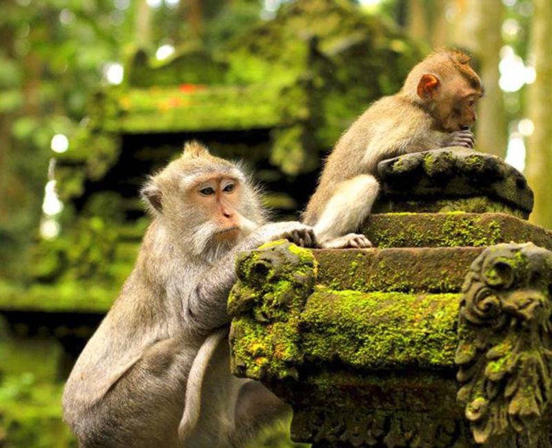 Mạng bán tour du lịch trực tuyến hàng đầu tại Việt Nam | BenThanh Tourist Mạng bán tour du lịch trực tuyến hàng đầu tại Việt Nam | BenThanh Tourist