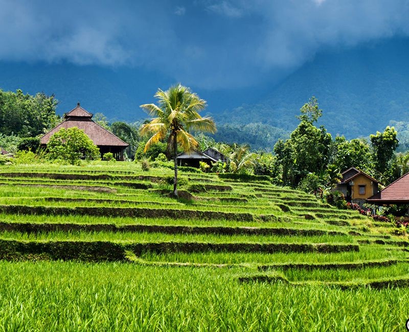 Mạng bán tour du lịch trực tuyến hàng đầu tại Việt Nam | BenThanh Tourist Mạng bán tour du lịch trực tuyến hàng đầu tại Việt Nam | BenThanh Tourist