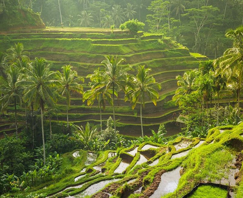 Mạng bán tour du lịch trực tuyến hàng đầu tại Việt Nam | BenThanh Tourist Mạng bán tour du lịch trực tuyến hàng đầu tại Việt Nam | BenThanh Tourist